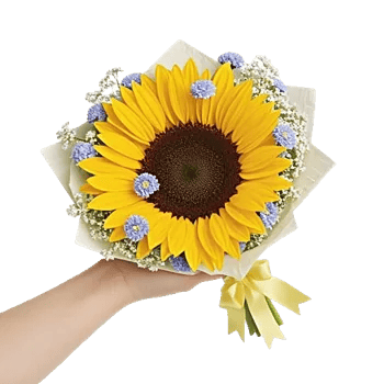 Twinkling Sunflower Dance