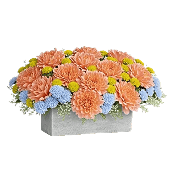 Delicate Petal Cascade