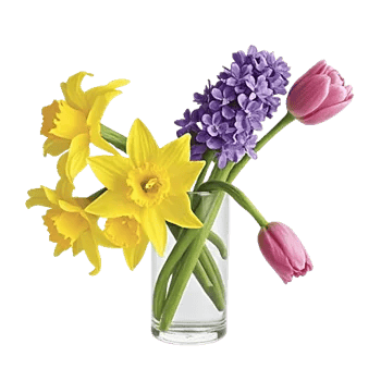 Ivory Blossom Radiance