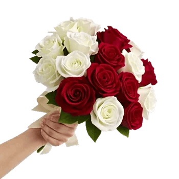 Crimson Rose Elegance