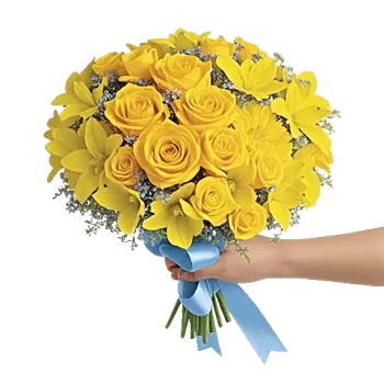 Blossom Harmony Display