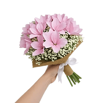 Blossom Petal Serenity