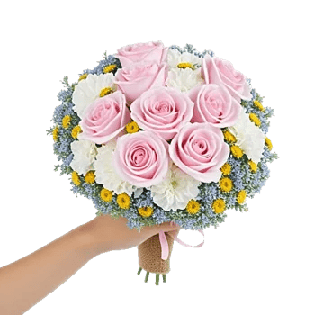 Pastel Pink Roses