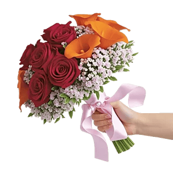 Crimson Rose Elegance