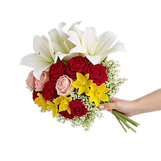 Blossom Harmony Display