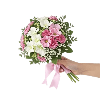 Petal Grace Harmony