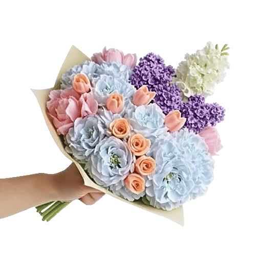 Serene Petal Harmony