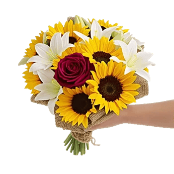 Blushing Rose Symphony