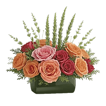 Delicate Petal Cascade