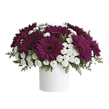 Graceful Lily Display