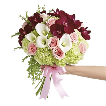 Crimson Blossom Harmony