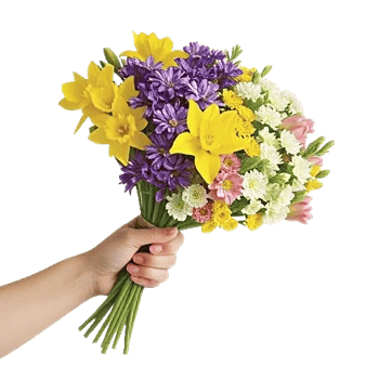 Blossom Harmony Display