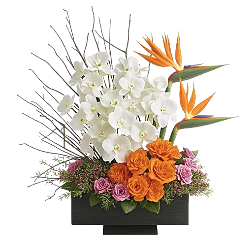 Orchid Bloom Cascade