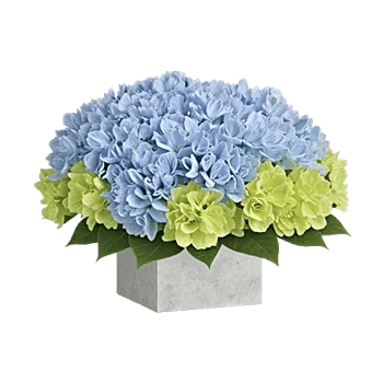 Serene Garden Harmony