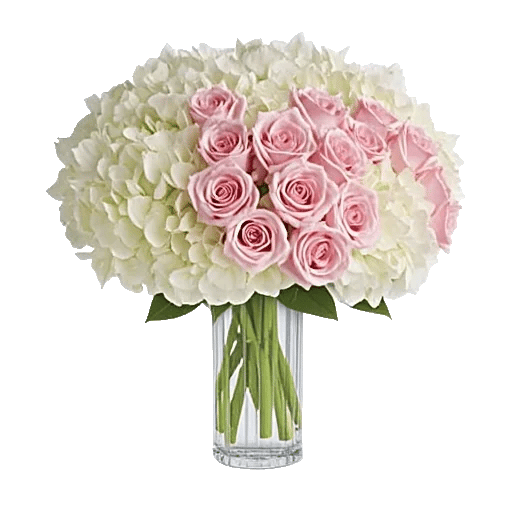 Ivory Blossom Radiance