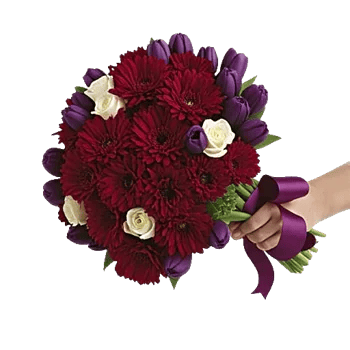 Crimson Rose Elegance