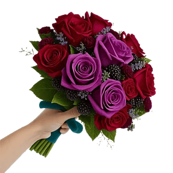 Crimson Rose Elegance