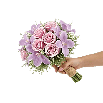 Pastel Pink Roses