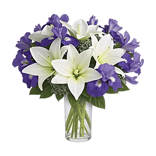 Ivory Blossom Radiance