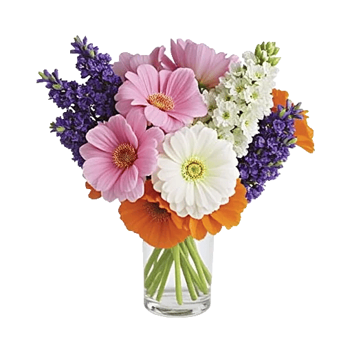 Ivory Blossom Radiance