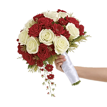 Delicate Petal Cascade