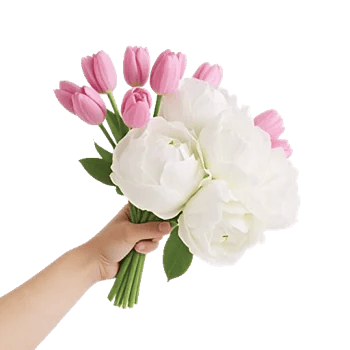 Peony Petal Harmony