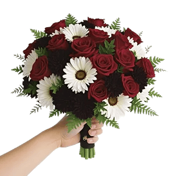 Blushing Rose Symphony