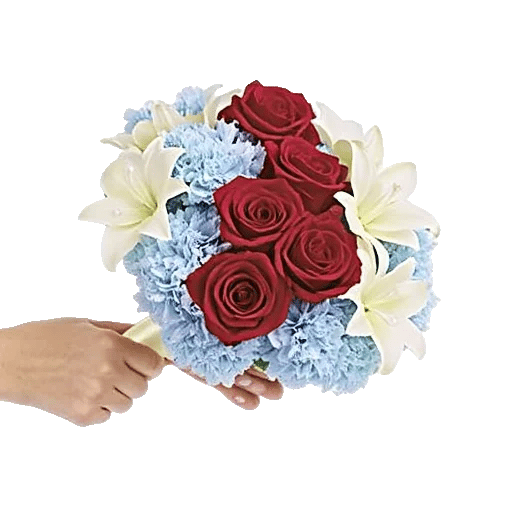 Blushing Rose Symphony