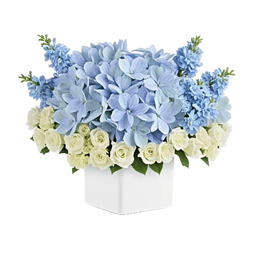 Azure Sky Blooms