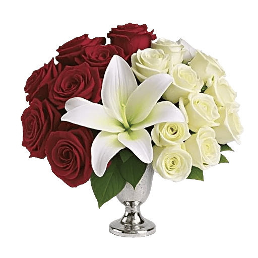 Crimson Rose Elegance