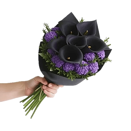 Elegant Calla Lilies