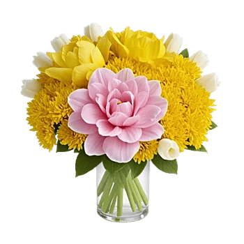 Petal Radiance Bliss