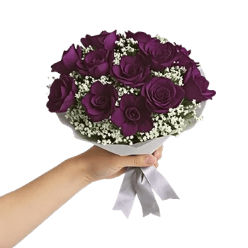 Petal Softness Display