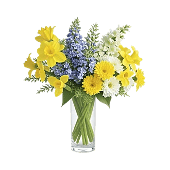 Ivory Blossom Radiance