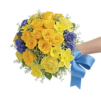 Blossom Harmony Display