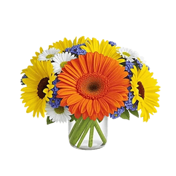 Petal Radiance Bliss