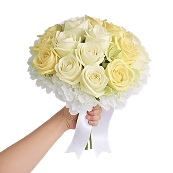 Serene Petal Harmony