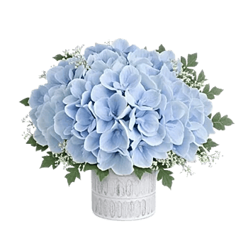 Sapphire Bloom Whisper