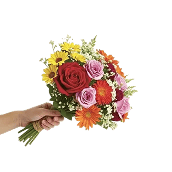 Petal Harmony Bliss