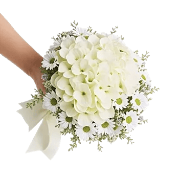 Ivory Garden Grace