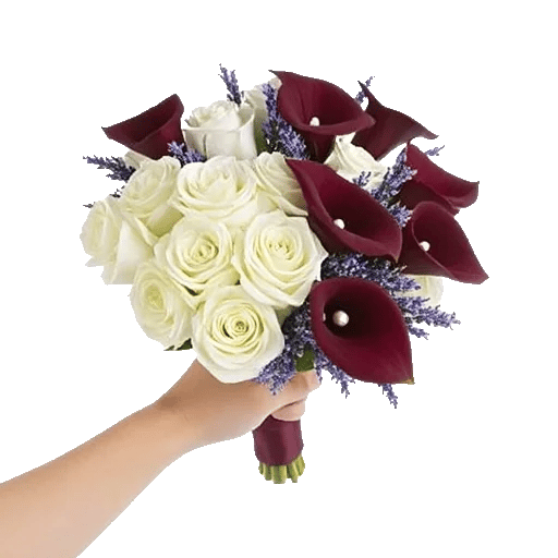 Elegant Calla Lilies