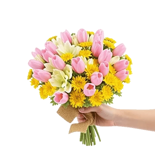 Blossom Harmony Display