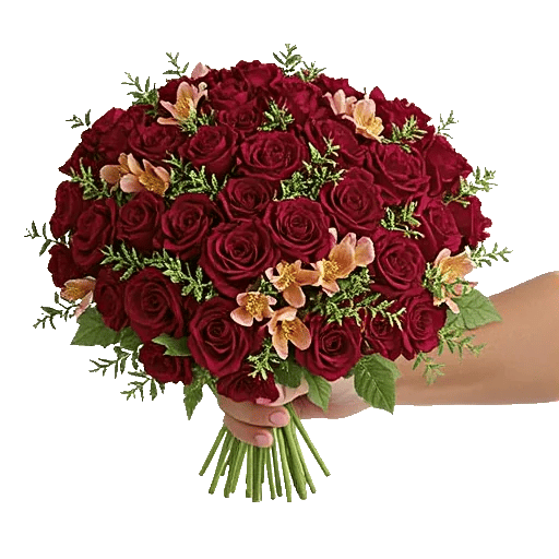 Crimson Blossom Harmony