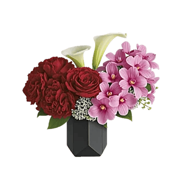Petal Radiance Bliss