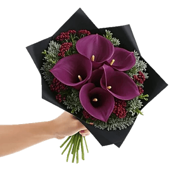 Elegant Calla Lilies