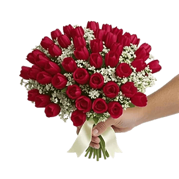 Velvet Tulip Display