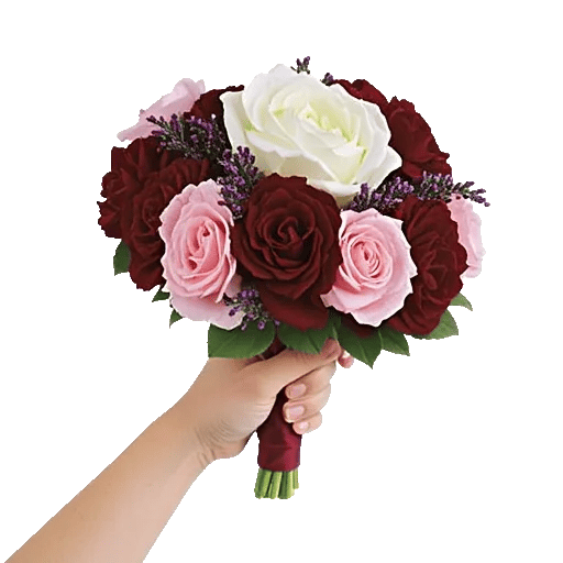 Blushing Rose Symphony