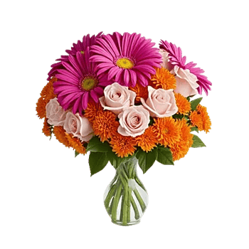 Petal Radiance Bliss