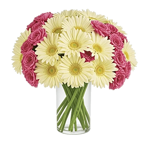 Crimson Blossom Harmony