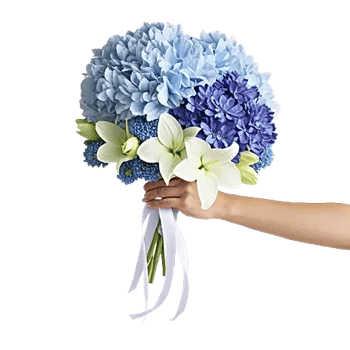 Sapphire Bloom Whisper